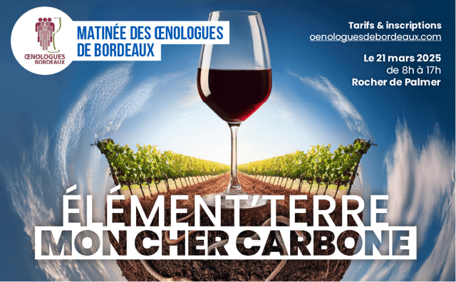 Matinée des œnologues de Bordeaux :  le replay