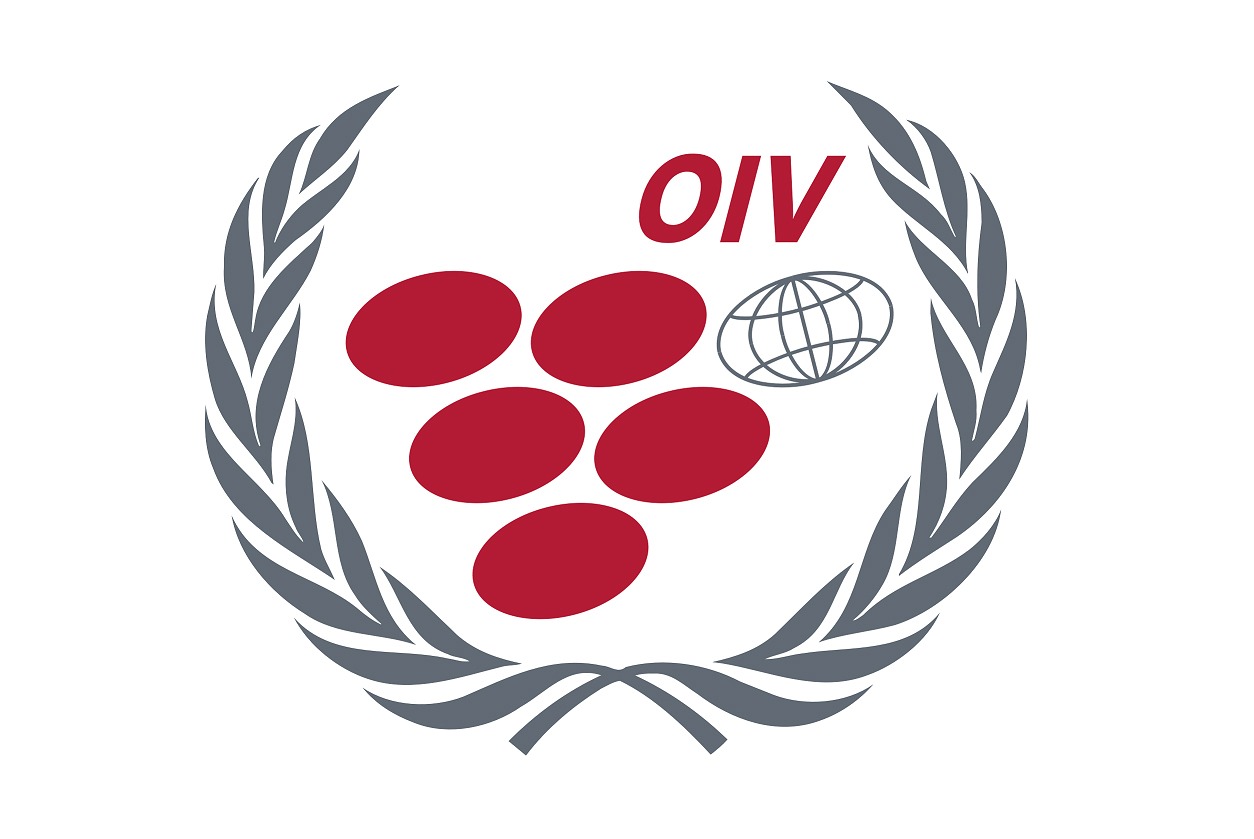Conjoncture Vitivinicole mondiale 2024