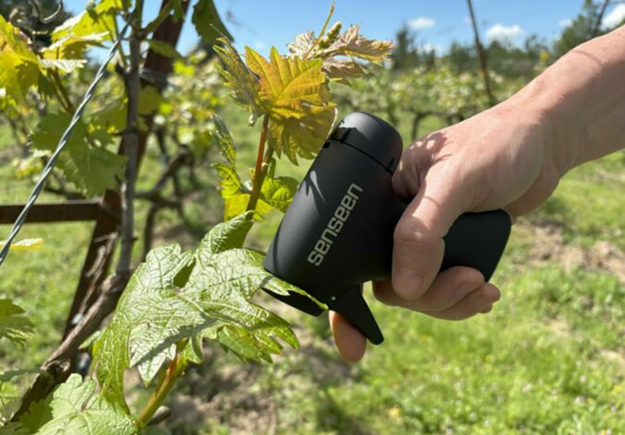 Gestion des minéraux dans la vigne : l’exemple du Nutriscope de Senseen