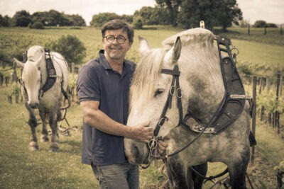 France, Gironde (33). Saint-Emilion, Traction animale dans les vignes avec des chevaux percherons, Portrait de Sébastien Bouetz et sa fille Juliette