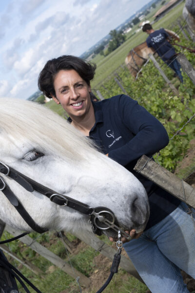 France, Gironde (33). Saint-Emilion, Traction animale dans les vignes avec des chevaux percherons, Portrait de Sébastien Bouetz et sa fille Juliette