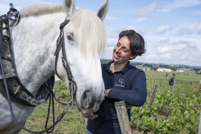 France, Gironde (33). Saint-Emilion, Traction animale dans les vignes avec des chevaux percherons, Portrait de Sébastien Bouetz et sa fille Juliette