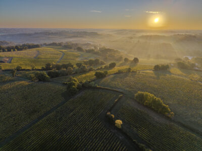 GIRONDE (33) TABANAC, VUE AERIENNE DU VIGNOBLE BORDELAIS EN AUTOMNE UN MATIN DE BROUILLARD, CADILLAC COTES DE BORDEAUX // FRANCE, GIRONDE (33) TABANAC, AERIAL VIEW OF THE BORDEAUX VINEYARDS IN AUTUMN ON A FOGGY MORNING, CADILLAC COTES DE BORDEAUX