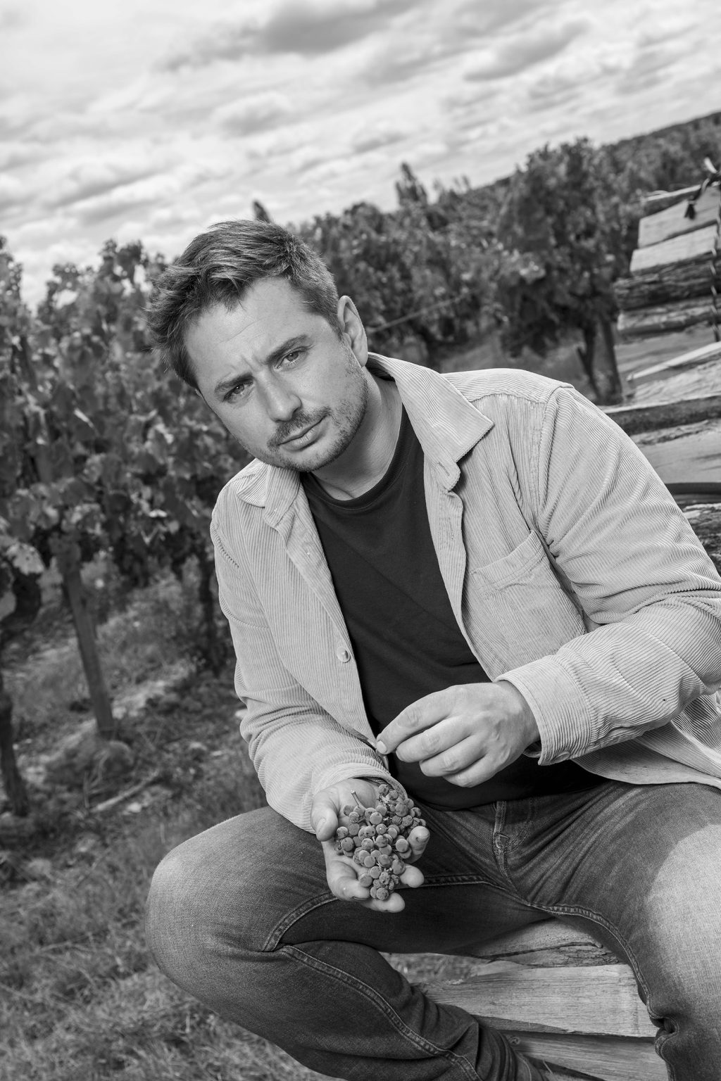 GIRONDE (33) DARDENAC, HUGUES LABORDE, CHATEAU HAUT-MEYREAU, VIGNOBLES INVIDIA, AOC ENTRE-DEUX-MERS, VIGNOBLE BORDELAIS // FRANCE, GIRONDE (33) DARDENAC, HUGUES LABORDE, CHATEAU HAUT-MEYREAU, INVIDIA WINEYARDS, AOC ENTRE-DEUX-MERS, BORDEAUX VINEYARD